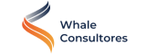 Whale-Consultores